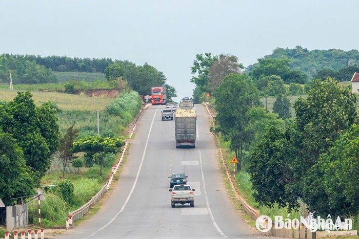 Xe chở gỗ keo trên đường sang Cảng Nghi Sơn (Thanh Hóa). Ảnh: Nguyễn Đạo