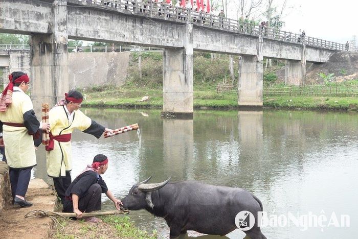 Trước đây, Lễ hội Đền Chín Gian được tổ chức 3 năm 1 lần vào tháng 8 âm lịch. Từ năm 2006, Lễ hội Đền Chín Gian với quy mô hoành tráng được tổ chức trở lại vào trung tuần tháng 2 âm lịch hằng năm. Đặc sắc tại phần lễ, có lễ tắm trâu và lễ rước (ạp Quái và ton Đăm-ton Thẻn). Ảnh: N.V