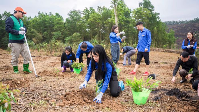 Tuổi trẻ huyện Cẩm Khê ra quân trồng cây xanh tại xã Hương Lung