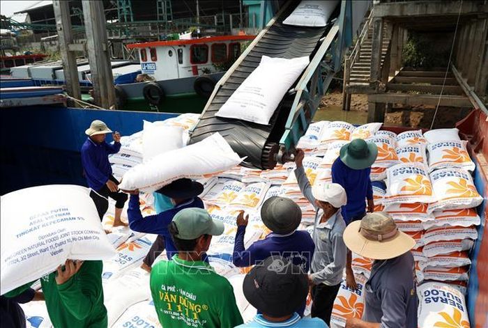 An Giang phấn đấu đến năm 2025 lượng gạo chất lượng cao và phát thải thấp xuất khẩu chiếm trên 20% tổng lượng gạo xuất khẩu của toàn vùng chuyên canh. Ảnh: Hồng Đạt/TTXVN