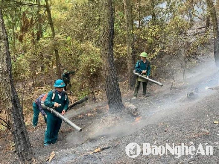 Lực lượng dân quân tự vệ huyện Nam Đàn tham gia chữa cháy rừng trên địa bàn xã Nam Thái tháng 4 năm 2024. Ảnh: Thành Chung