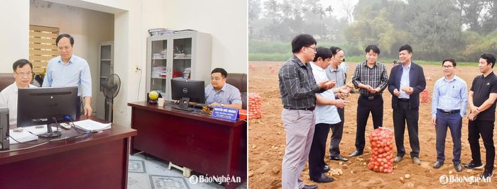Cán bộ Sở Nông nghiệp và Môi trường thực hiện nhiệm vụ chuyên môn theo sự phân công ngay sau khi sáp nhập; Cán bộ Sở Khoa học và Công nghệ kiểm tra mô hình trồng khoai tây ở Anh Sơn. Ảnh: Thanh Lê