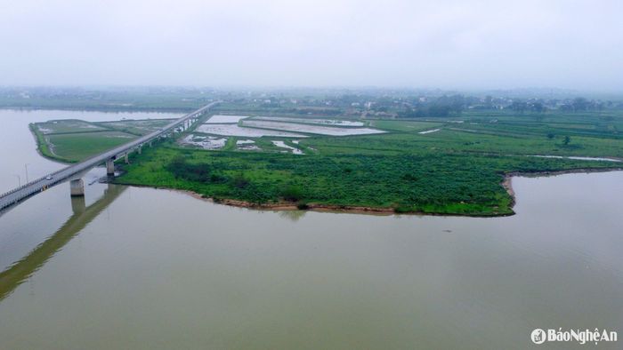 Giáp ranh xã Long Xá là bãi bồi thuộc địa bàn xã Trung Phúc Cường, huyện Nam Đàn cũng trong tình trạng tương tự khi một diện tích lớn đất bị nước sông "nuốt chửng" nhiều năm qua. Ảnh: Quang An