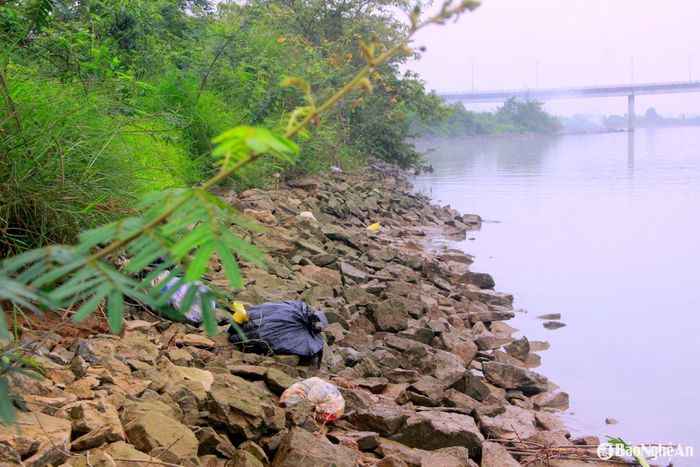 Được biết, trước đây, cơ quan chức năng và chính quyền các xã cũng đã tiến hành kè đá ven sông Lam để giảm thiểu tình trạng sạt lở, tuy nhiên, đây chỉ là giải pháp tình thế. Theo quan sát, lớp kè cũ này cũng đã bị xuống cấp, hư hỏng. Ảnh: Quang An