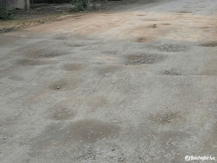 Mặt đường Đức Thiết đoạn qua xóm 10, xã Nghi Ân chi chít ổ gà. (Ảnh chụp ngày 19/3/2025). Ảnh: H.T