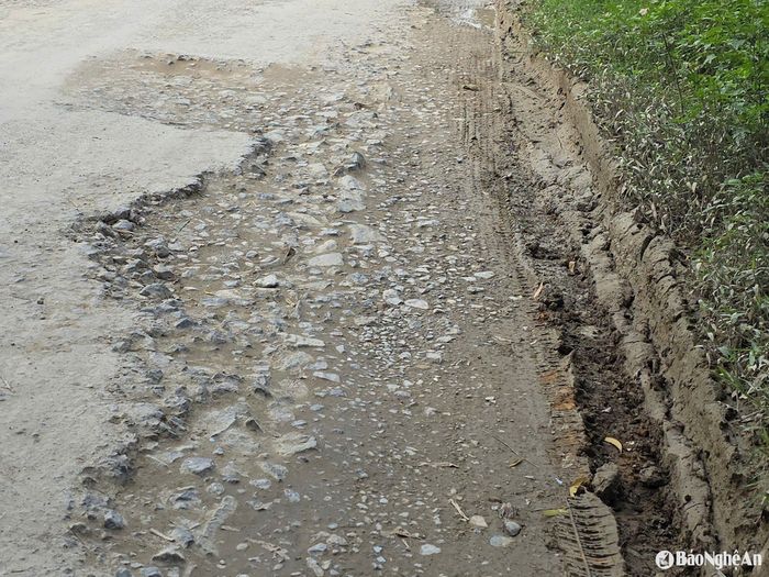 Nhiều đoạn trên tuyến đường Trần Văn Quang hư hỏng nặng. (Ảnh chụp ngày 19/3/2025). Ảnh: H.T