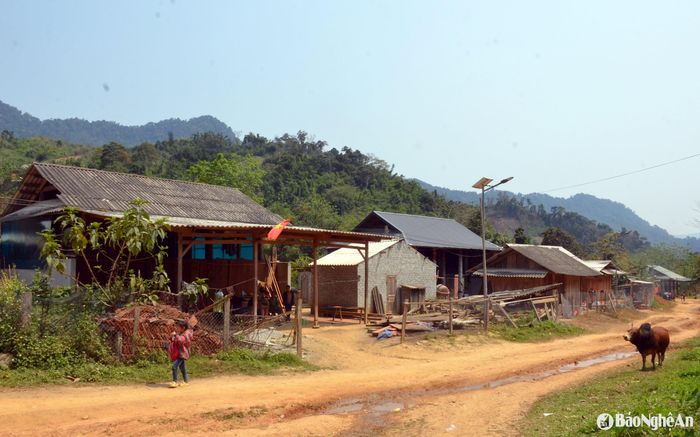 Phà Lõm là một bản biên giới của xã Tam Hợp, huyện Tương Dương. Bản có 127 hộ người Mông, với 799 nhân khẩu. Ca mắc sởi đầu tiên ở bản được phát hiện vào ngày 22/2/2025, khi có một trẻ đã sốt ở nhà 3 ngày liền được bố mẹ đưa ra trạm y tế xã khám, điều trị. Ảnh: Thành Chung