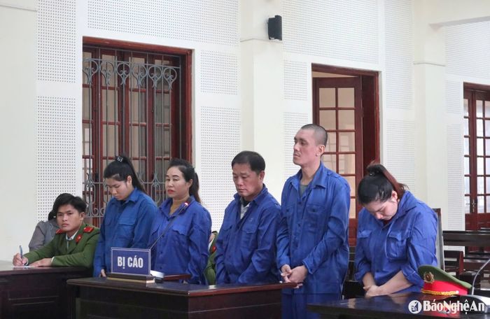 Các bị cáo nghe tòa tuyên án. Ảnh: Trần Vũ