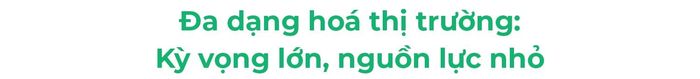 Vấn đề tìm kiếm các thị trường khách đến mới, giảm rủi ro phụ thuộc là câu chuyện đã được nhắc đến rất nhiều năm qua. Nhưng sự ổn định mà ông nhắc đến, cùng những dữ liệu thống kê, rõ ràng cho thấy nỗ lực đa dạng hóa thị trường đã thất bại. Ông đánh giá thế nào về điều này?