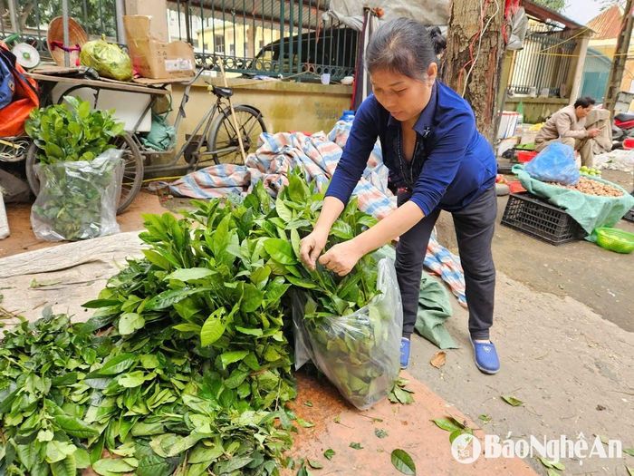 Ở các chợ dân sinh, thời điểm này, chè xanh tăng vọt lên 35.000 - 40.000 đồng/bó, gấp đôi so với trước. Ảnh: T.P