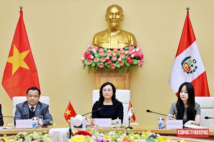Phía Việt Nam bày tỏ mong muốn Chính phủ Peru tiếp tục tạo điều kiện thuận lợi cho các nhà đầu tư Việt Nam đang và sẽ triển khai dự án tại Peru