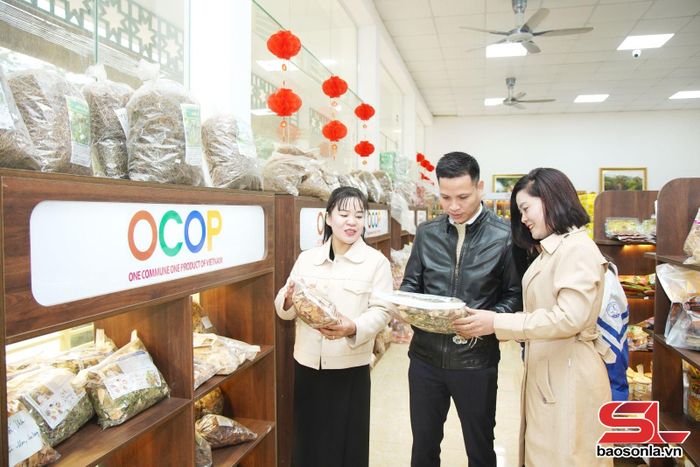 Khách hàng tham quan gian hàng trưng bày các sản phẩm OCOP của huyện Phù Yên.