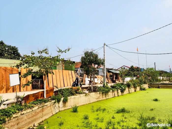Một góc làng mộc Tiền Phong. Ảnh: Diệp Thanh