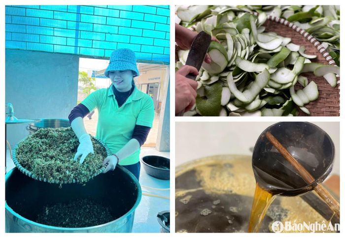 Hoa bưởi, vỏ quả bưởi non là nguyên liệu để sản xuất ra các dòng sản phẩm thảo dược như: tinh dầu bưởi, dầu gội, dầu xả... Ảnh: T.P
