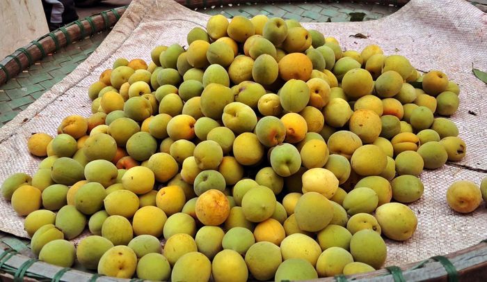Mận Hương Tích (Hà Nội) bầy bán tại chợ truyền thống. Ảnh: Hoài Nam