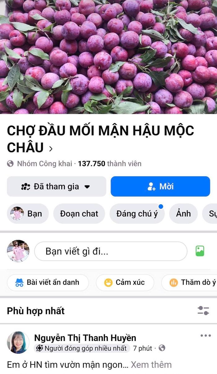 Rao bán mận hậu Sơn La trên Facebook. Ảnh: Hoài Nam