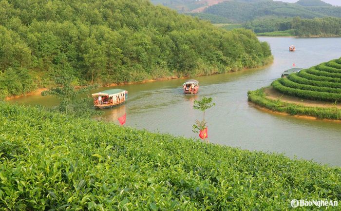 Dù không còn nhộn nhịp như thời điểm mới được khám phá, đảo chè Cầu Cau vẫn thu hút du khách từ khắp nơi đến tham quan và trải nghiệm. Mỗi ngày, hàng chục chiếc thuyền du lịch vẫn sẵn sàng phục vụ du khách dạo quanh hồ. Ảnh: Huy Thư