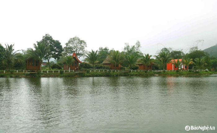 Du khách đến đảo chè có thể lưu trú tại các homestay, nhà nghỉ quanh đảo và tham gia những trải nghiệm thú vị như hái chè, thưởng trà, câu cá hay bơi thuyền, tận hưởng không khí bình yên giữa thiên nhiên trong lành. Ảnh: Huy Thư