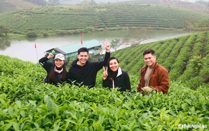 Nhóm du khách miền Nam vượt hàng nghìn cây số đến thăm đảo chè Cầu Cau đúng vào thời điểm gió mùa Đông Bắc vừa tràn về, mang theo những cảm xúc rất riêng trong chuyến hành trình đặc biệt này. Ảnh: Huy Thư