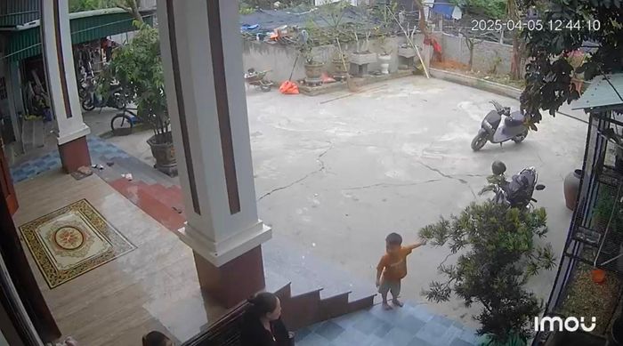 Bé trai chạy đi gọi người lớn. Ảnh chụp màn hình