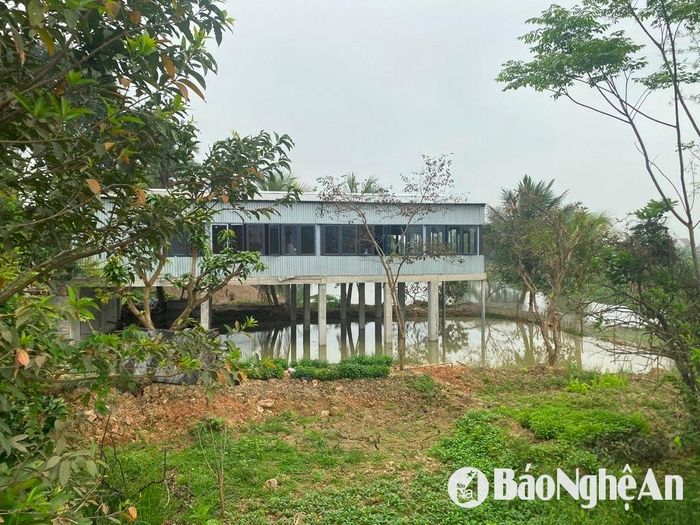 Qua tìm hiểu thực tế tại địa phương, một số người dân tại đây cho biết, nhiều khu vực dọc kênh Vũ Giang người dân lại vừa mới tiếp tục đổ đất và san gạt mặt bằng ngay từ đầu năm 2025 đến nay. Ảnh: Hải An