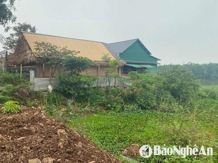 Ông Lê Văn Hồng - Trưởng phòng Nông nghiệp và Môi trường huyện Yên Thành cho biết: "Tình trạng này là hệ quả của những vấn đề lịch sử để lại, kéo dài qua nhiều năm nhưng đến nay địa phương vẫn chưa thể giải quyết dứt điểm. Các hộ dân khi mua đất đều có hóa đơn và thực hiện nghĩa vụ thuế đầy đủ hằng năm, một số trường hợp thậm chí đã được Nhà nước cấp giấy chứng nhận quyền sử dụng đất. Hiện nay, chính quyền địa phương đang siết chặt công tác quản lý, không để phát sinh thêm các trường hợp xây dựng hoặc cơi nới trái phép. Dù đã có một số trường hợp bị xử phạt vi phạm hành chính, việc ngăn chặn hoàn toàn vẫn gặp nhiều khó khăn. Thậm chí, dù đã có thông báo cấm mua bán, chuyển nhượng, nhiều hộ dân vẫn cố tình thực hiện". Ảnh: Hải An