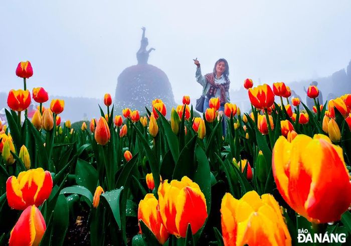 Check-in cùng vườn tulip.