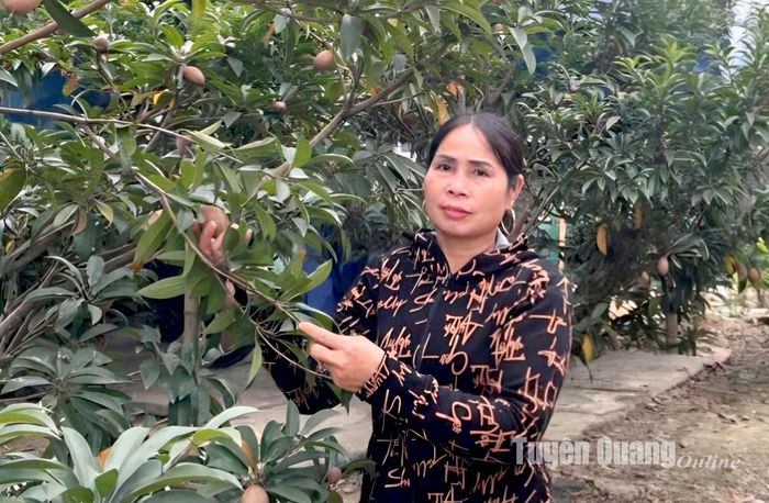 Bà Đỗ Thị Xuyến, thôn 16, xã Kim Phú (TP Tuyên Quang)