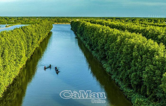 Rạch Gốc được thiên nhiên ưu đãi về cảnh quan, rừng nằm tiếp biển, rất thích hợp cho phát triển du lịch sinh thái.