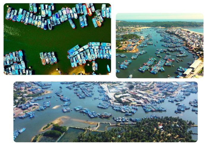 Cảng cá Tam Quan (TX Hoài Nhơn, Bình Định) thủ phủ cá ngừ đại dương của miền Trung với hàng nghìn tàu cá xa bờ.