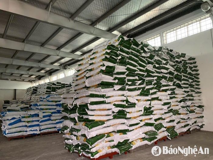 Kho lúa gống của Tập đoàn Thaibinh Seed.