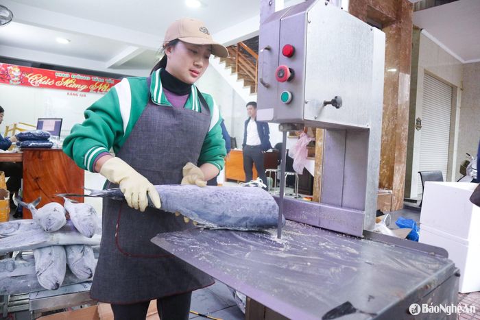 Thiết bị, máy móc trong khâu sơ chế, chế biến được đầu tư thêm. Ảnh: T.P