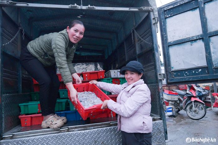 Hải sản tươi sống được thương lái đón mua ngay khi cập bến với giá cao. Ảnh: T.P