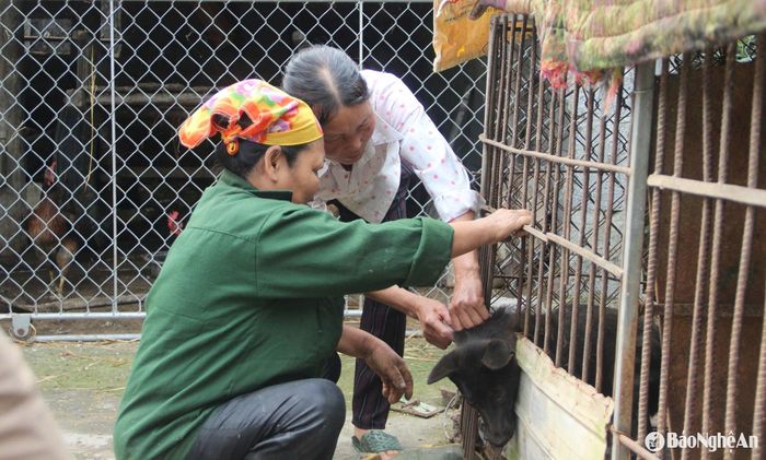 Tổ tiêm phòng khối 5, thị trấn Dùng (Thanh chương) tiêm phòng vắc-xin dại chó. Ảnh: Quang An