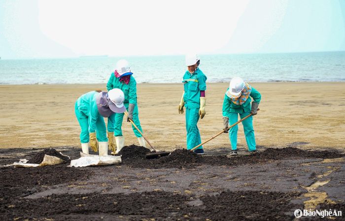 Các công nhân môi trường dọn dẹp rác trên bãi biển. Ảnh: Minh Quân
