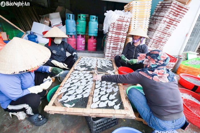 Mực ống, mực lá được sơ chế và cấp đông tại chỗ để giữ chất lượng tốt nhất trước khi phân phối ra thị trường. Ảnh: T.P