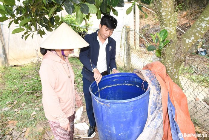 Bà Trần Thị Lý thực hiện ủ phân bón lá từ giun quế tại gia. Ảnh: H.T