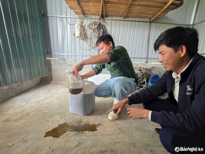 Thành phẩm phân bón lá chế xuất từ giun quế ở dạng dung dịch đậm đặc, pha với nước để bón cho cây trồng. Ảnh: H.T