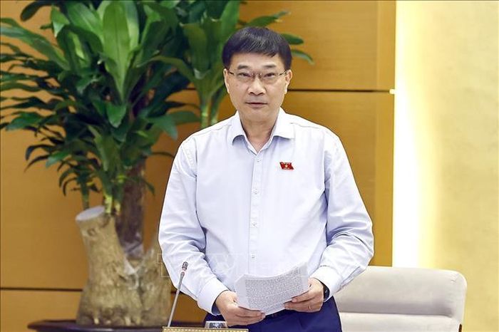 Phó Chủ tịch Quốc hội Vũ Hồng Thanh phát biểu. Ảnh: Doãn Tấn/TTXVN