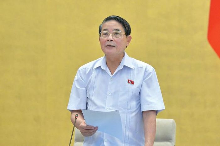  Phó Chủ tịch Quốc hội Nguyễn Đức Hải phát biểu tại phiên họp. Ảnh: Hồ Long 