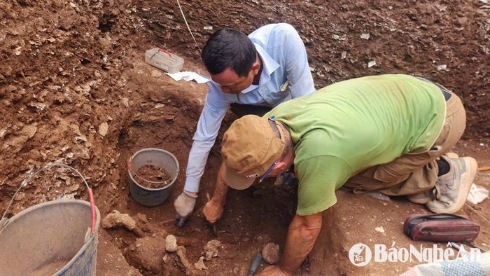 Tiến hành khai quật tại Di chỉ khảo cổ học Quỳnh Văn. Ảnh: Mạnh Hà