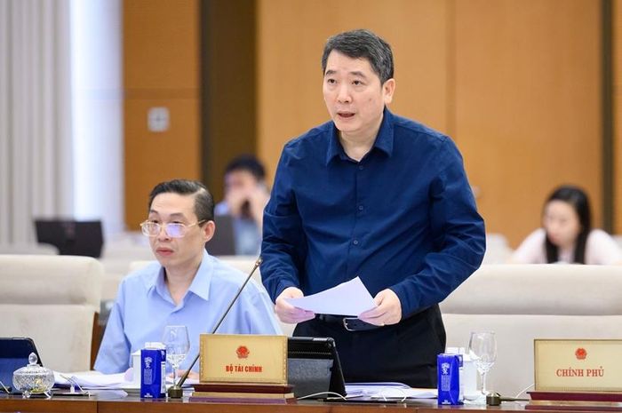Thứ trưởng Bộ Tài chính Cao Anh Tuấn trình bày tờ trình.