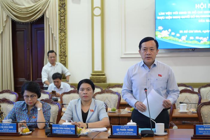  Phó Trưởng đoàn Chuyên trách Đoàn ĐBQH TPHCM Hà Phước Thắng phát biểu kết luận. Ảnh: LÊ MINH 