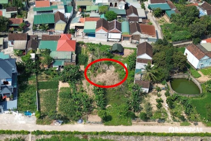 Hình ảnh khu vực có 2 bụi tre (nơi được khoanh đỏ), nay đã bị chặt phá. Ảnh: Tiến Đông