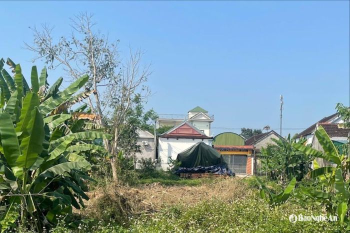 Khu đất có 2 bụi tre nay đã bị chặt phá, không còn giữ được hiện trạng ban đầu. Ảnh: Tiến Đông