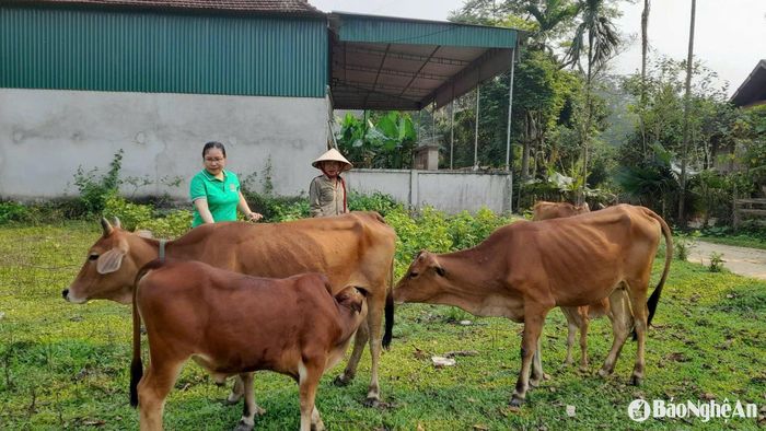 Tổ chức hội xã đi kiểm tra sử dụng vốn vay trong vòng 30 ngày sau giải ngân tại xã Lục Dạ, huyện Con Cuông. Ảnh: T.H
