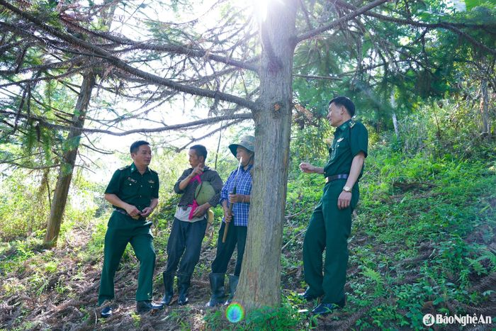 Cán bộ Đồn Biên phòng Na Ngoi thăm rừng samu của già Chia. Ảnh: T.P