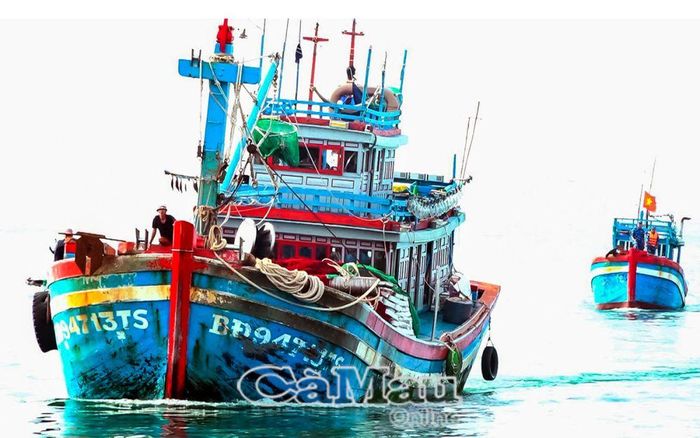 2 tàu cá BĐ 41204 TS và BĐ 94713 TS đang bị dẫn giải vào cảng Hải đội 422 ở Phú Quốc.
