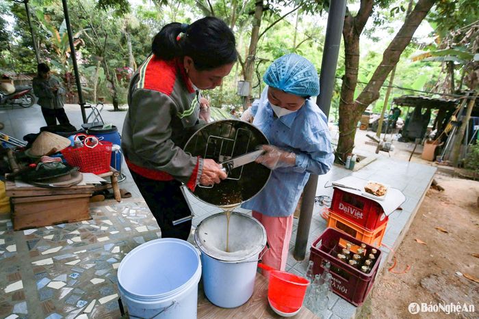 Mật được lọc sạch, đóng vào chai để cung cấp cho thị trường. Mỗi năm, một tổ ong cho khoảng 5-6 lít mật, giá bán dao động từ 360.000 - 400.000 đồng/lít. Ảnh: T.P