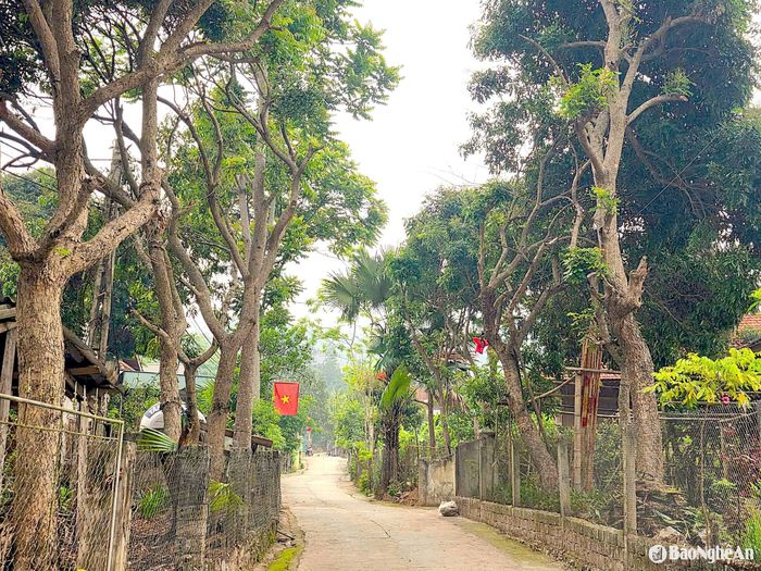 Một góc xanh mát ở bản Quang Phúc, xã Tam Đình, nơi các homestay phục vụ du khách nghỉ ngơi. Ảnh: HT